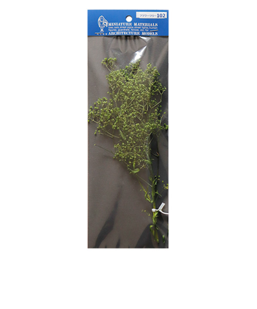 光栄堂　かすみ草　FL-2　グリーン