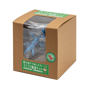 スナゴケ栽培キット　乾燥粉末スナゴケ