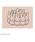 グリーンフラッシュ（GreenFlash）　ミッフィー（miffy）　ポストカード　BM－247　pink