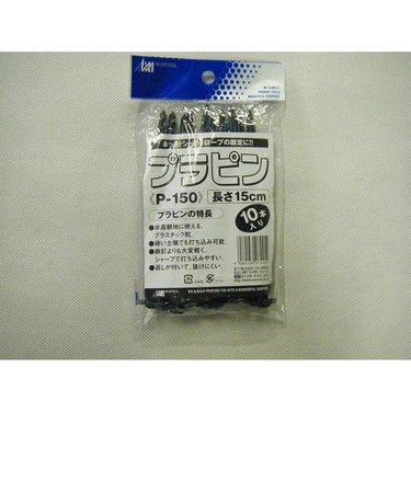 森下　プラピン　15cm　10P