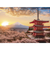 やのまん　春暁の富士山と桜（山梨）　05-1023　500ピース