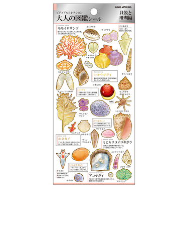 カミオジャパン　大人の図鑑シール　224586　貝殻と珊瑚