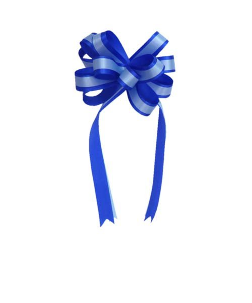 インディゴ　PR696　ボウリボンXL　RB／LB