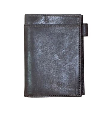 アシュフォード（ASHFORD）　ビタリータ　ミニ5名刺フォン　2131－022　ブラウン