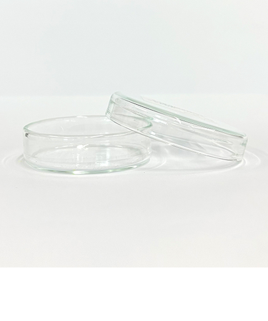 ガラスシャーレ　60mm