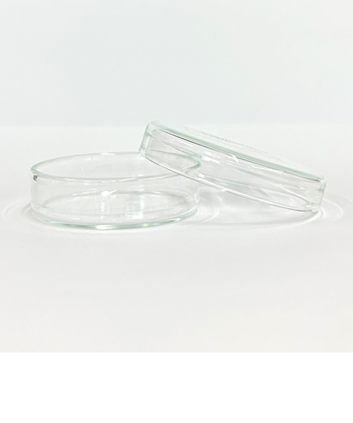 ガラスシャーレ　60mm