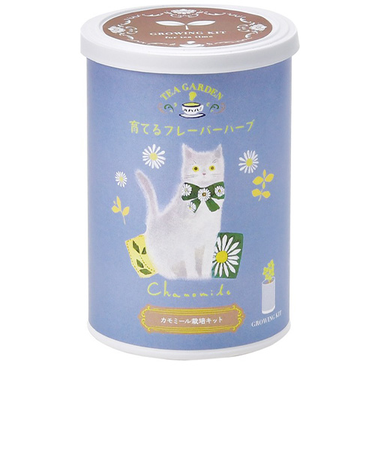 聖新陶芸　育てるフレーバーハーブ　GD1025－4　カモミール