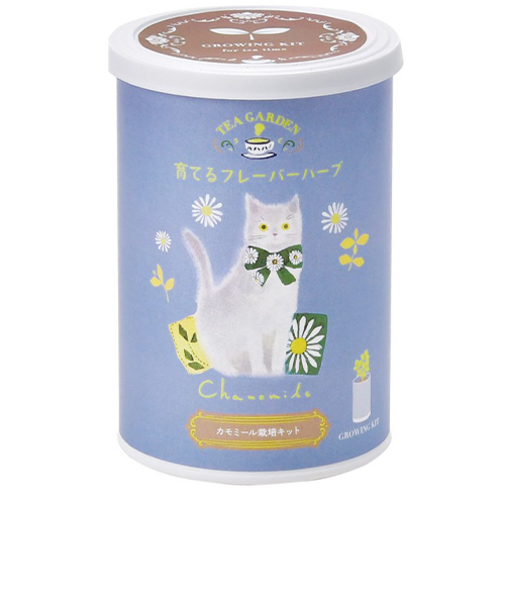 聖新陶芸　育てるフレーバーハーブ　GD1025－4　カモミール