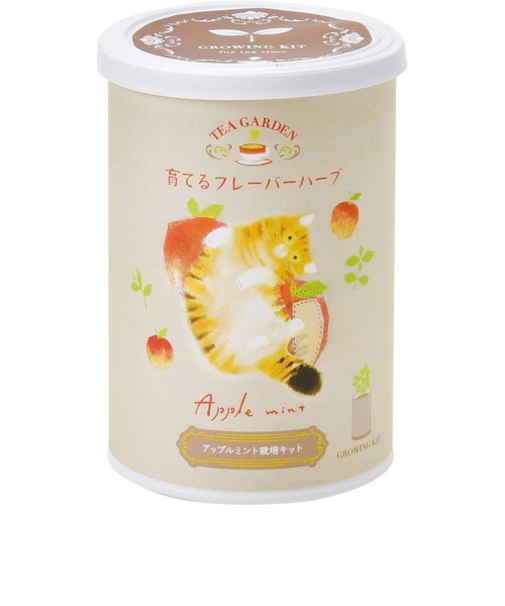 聖新陶芸　育てるフレーバーハーブ　GD1025－1　アップルミント