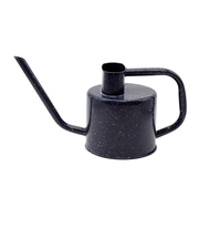 Do!earth＆green　スチールウォータリングカン　1.7L　42243　スパークルブルー