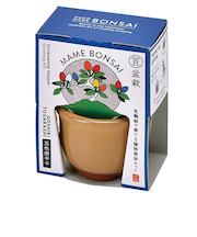 聖新陶芸　HACOMAME盆栽栽培セット　GD965‐4　五色とうがらし