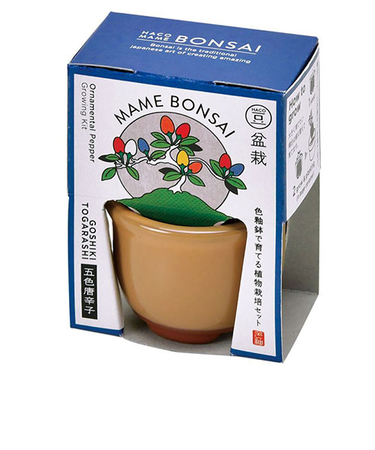 聖新陶芸　HACOMAME盆栽栽培セット　GD965‐4　五色とうがらし