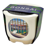 聖新陶芸　JAPANESE　BONSAI　浅草田甫　酉の町詣　GD640‐6