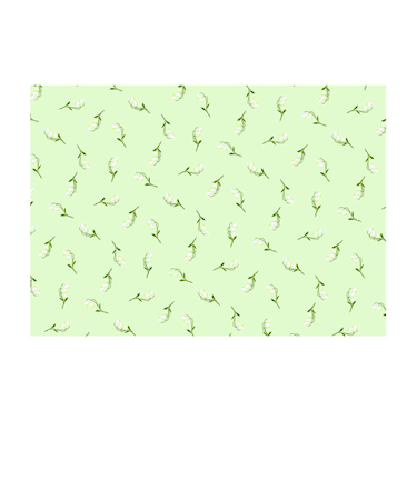 ゼットアンドケイ（Z＆K）　ラッピングペーパー　ロール　スズラン