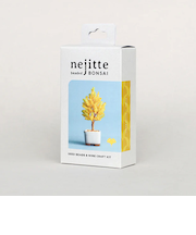 ミユキ（MIYUKI）　ネジッテBONSAIキット　HCA30//6　銀杏