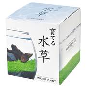 聖新陶芸　育てる水草　L　GD813