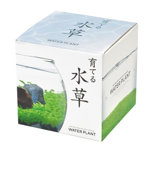 聖新陶芸　育てる水草　S　GD812