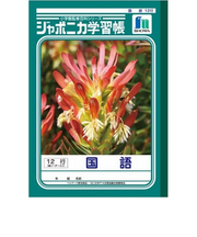 ジャポニカ　国語12行縦リーダー　JL－11