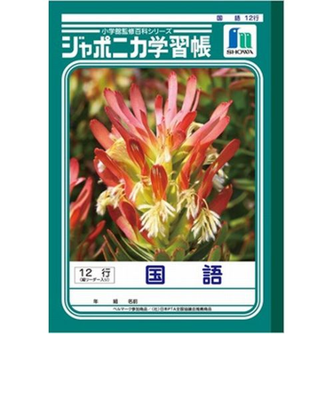 ジャポニカ　国語12行縦リーダー　JL－11