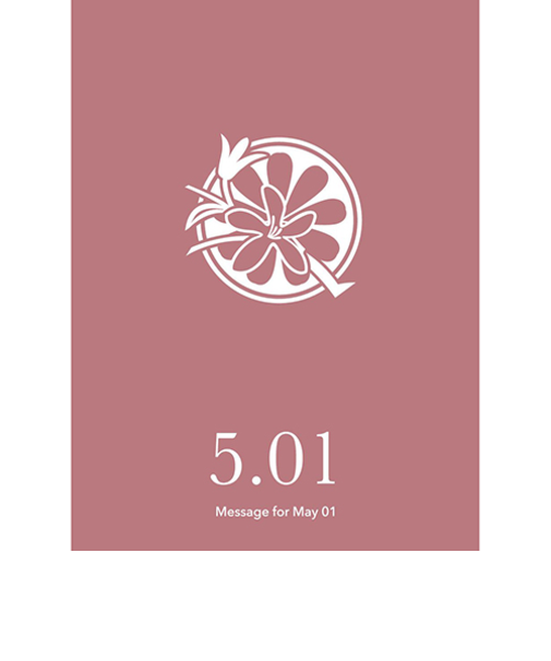 草紙堂　花結びメッセージカード　5月1日