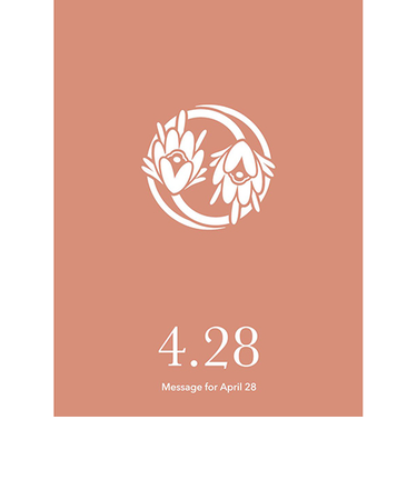 草紙堂　花結びメッセージカード　4月28日