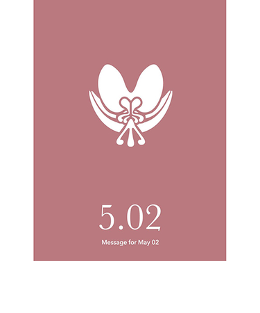 草紙堂　花結びメッセージカード　5月2日