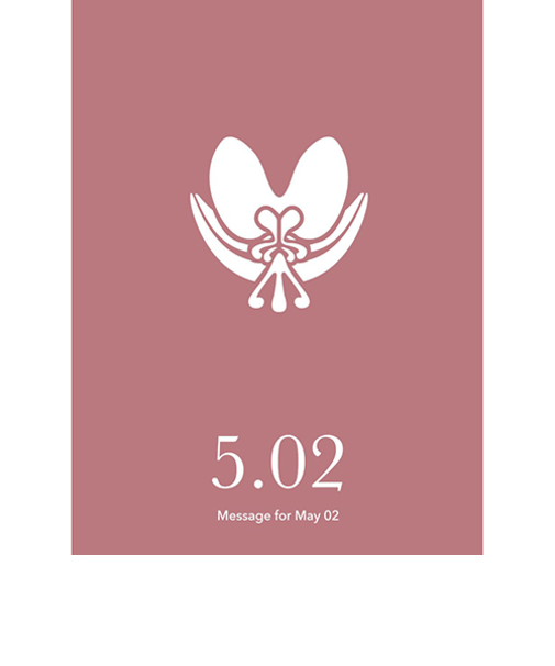 草紙堂　花結びメッセージカード　5月2日