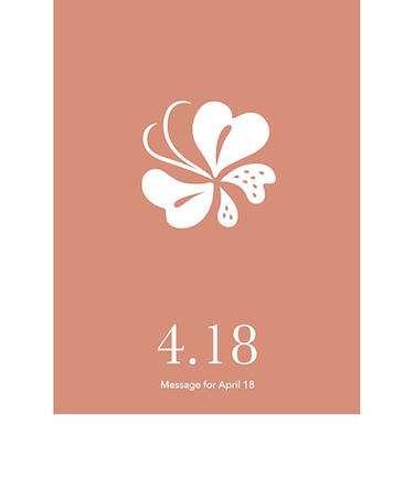 草紙堂　花結びメッセージカード　4月18日