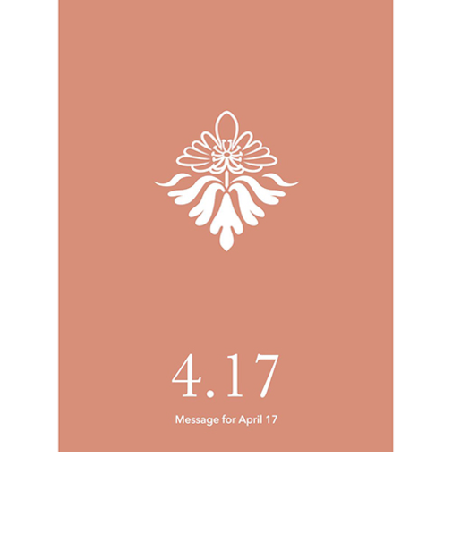 草紙堂　花結びメッセージカード　4月17日