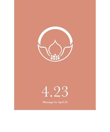 草紙堂　花結びメッセージカード　4月23日