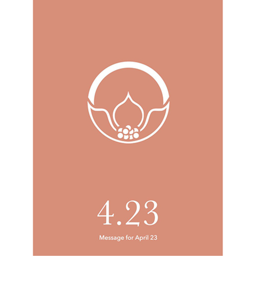 草紙堂　花結びメッセージカード　4月23日