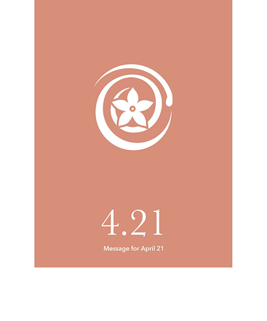 草紙堂　花結びメッセージカード　4月21日