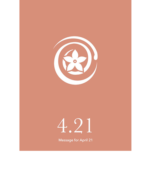 草紙堂　花結びメッセージカード　4月21日