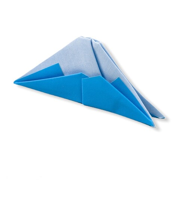 ヒャクパーセント（100percent）　プチペット（PetiPeto）　富士山