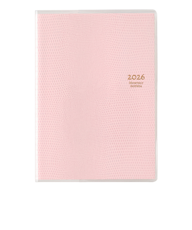 【2025年11月始まり】　ペイジェム（PAGEM　by　NOLTY）　ペイジェムマンスリー　Ａ6-i　マンスリーブロック　2714　ピンク　日曜始まり