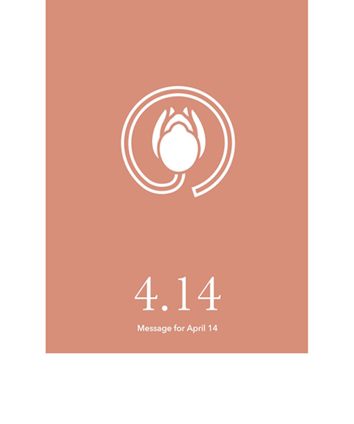 草紙堂　花結びメッセージカード　4月14日