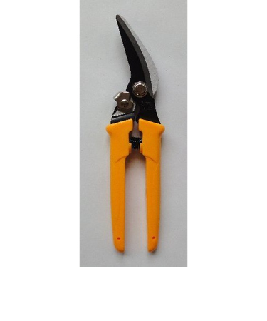 バーミィ　ドイツスニップス　プラス　GT-097