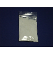 漆芸顔料　白20g