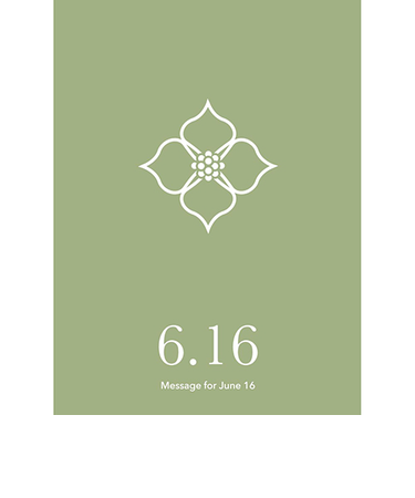 草紙堂　花結びメッセージカード　6月16日