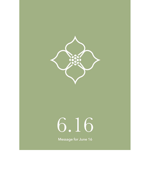 草紙堂　花結びメッセージカード　6月16日