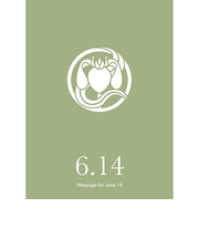 草紙堂　花結びメッセージカード　6月14日