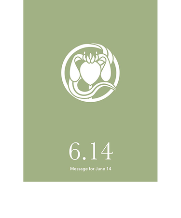 草紙堂　花結びメッセージカード　6月14日