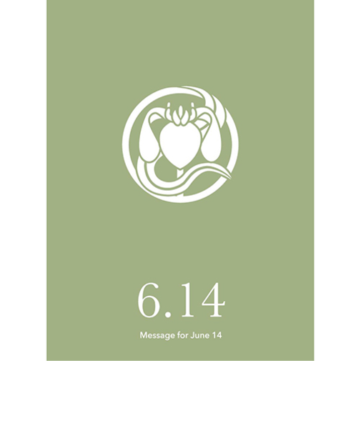 草紙堂　花結びメッセージカード　6月14日