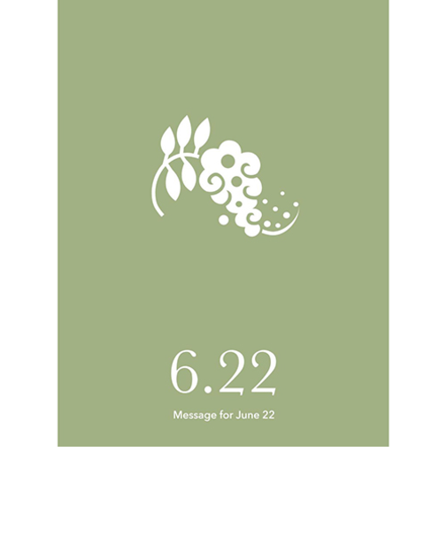 草紙堂　花結びメッセージカード　6月22日