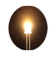 イーケイジャパン　エレキット（ELEKIT）　高輝度LED　AP－L04　5mm　電球色
