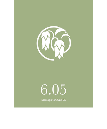 草紙堂　花結びメッセージカード　6月5日