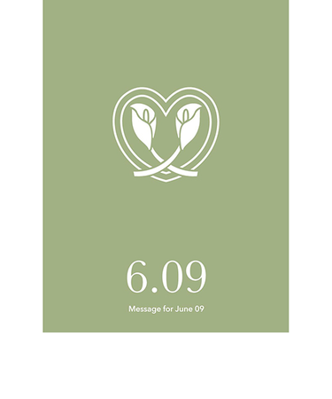 草紙堂　花結びメッセージカード　6月9日