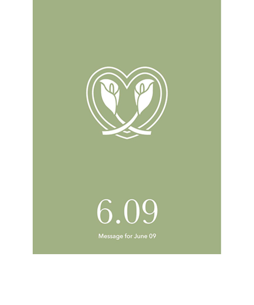 草紙堂　花結びメッセージカード　6月9日