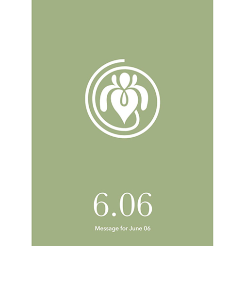 草紙堂　花結びメッセージカード　6月6日