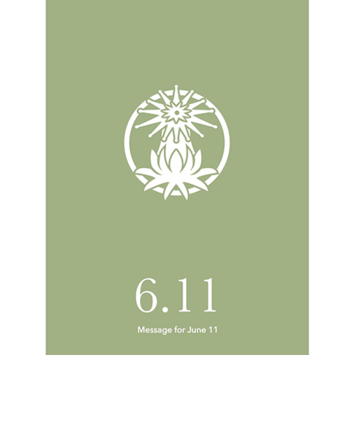 草紙堂　花結びメッセージカード　6月11日